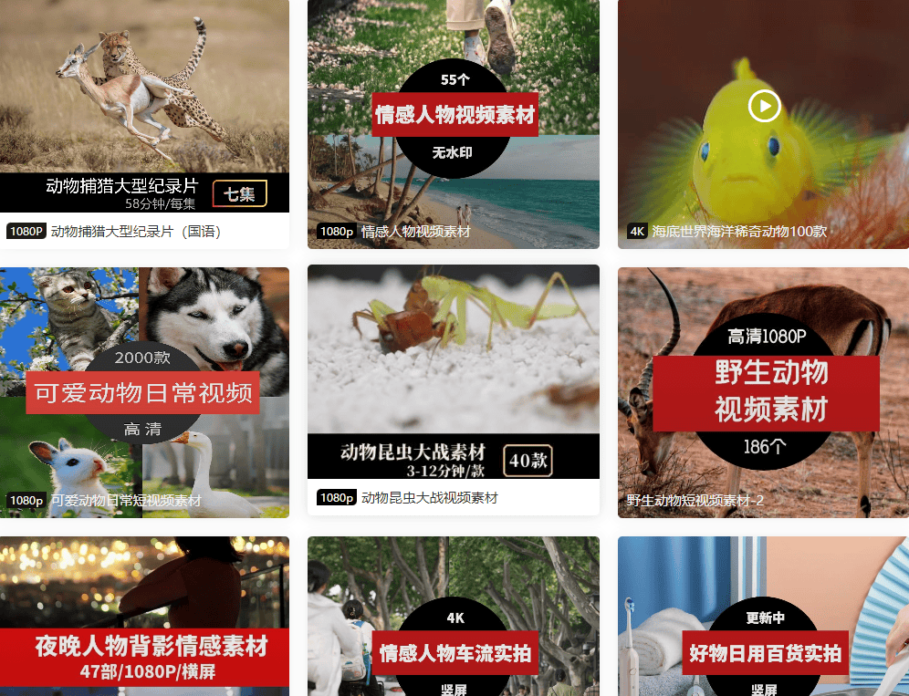 哪里下载动物纪录片视频素材？分享可以下载动物视频素材的网站