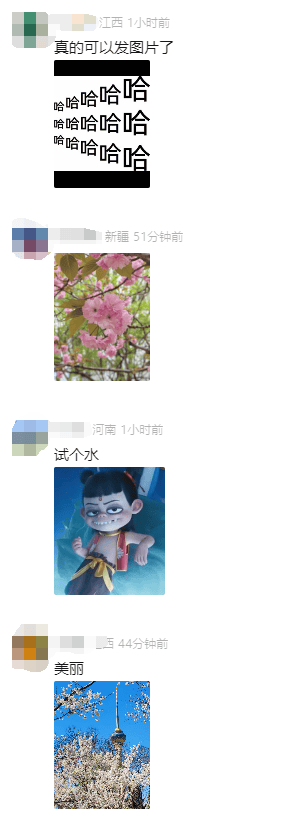 微信新功能上线！网友：太方便了！