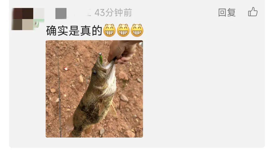 微信新功能上线！网友：太方便了！